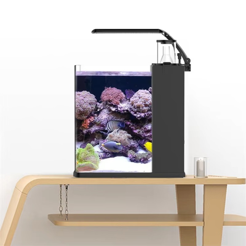 초고투명 유리 미니 해수 해양 수족관 어항 - Marine Aquarium Cube 리뷰 및 가격