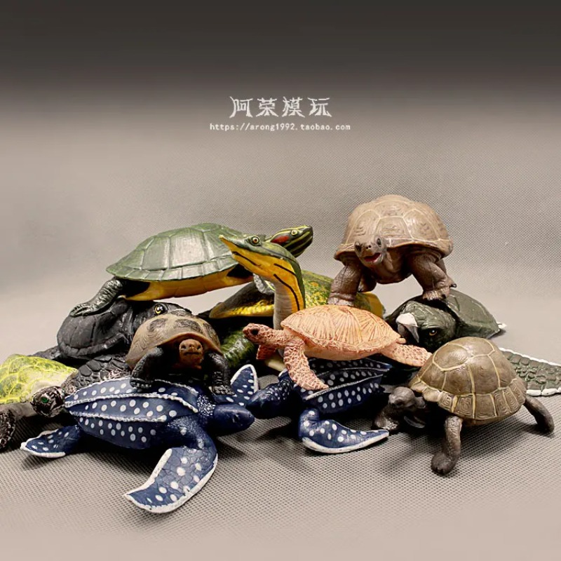 가죽등 붉은귀거북 육지거북 해양 미니어처 해양 동물 모 - Ocean Aquarium 리뷰 및 가격