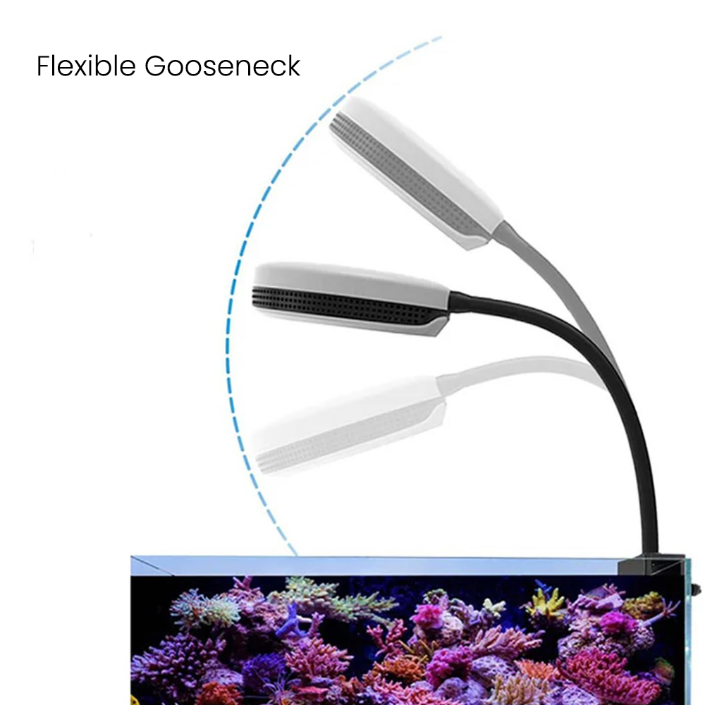 스펙트라 SP20 20W 수족관 LED 조명 풀 스펙트 - Marine Coral 리뷰 및 가격