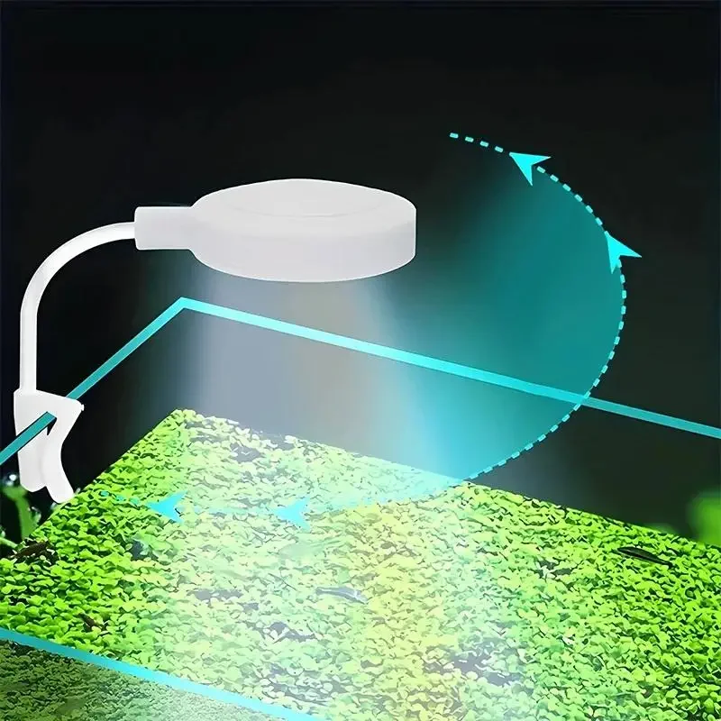 어항 조명 어댑터 포함 LED 클립 온 어항 조명, 소 - Aquarium Marine Lights 리뷰 및 가격