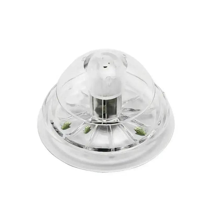 2026년형 새로운 6/8CM 투명 플라스틱 달팽이 트 - Marine Aquarium 리뷰 및 가격