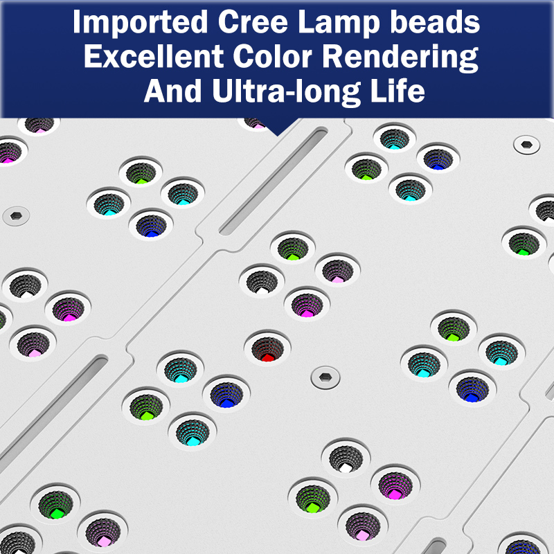 핫 KASSRAY T169/T215 CREE LED 풀 - Marine Aquarium 리뷰 및 가격