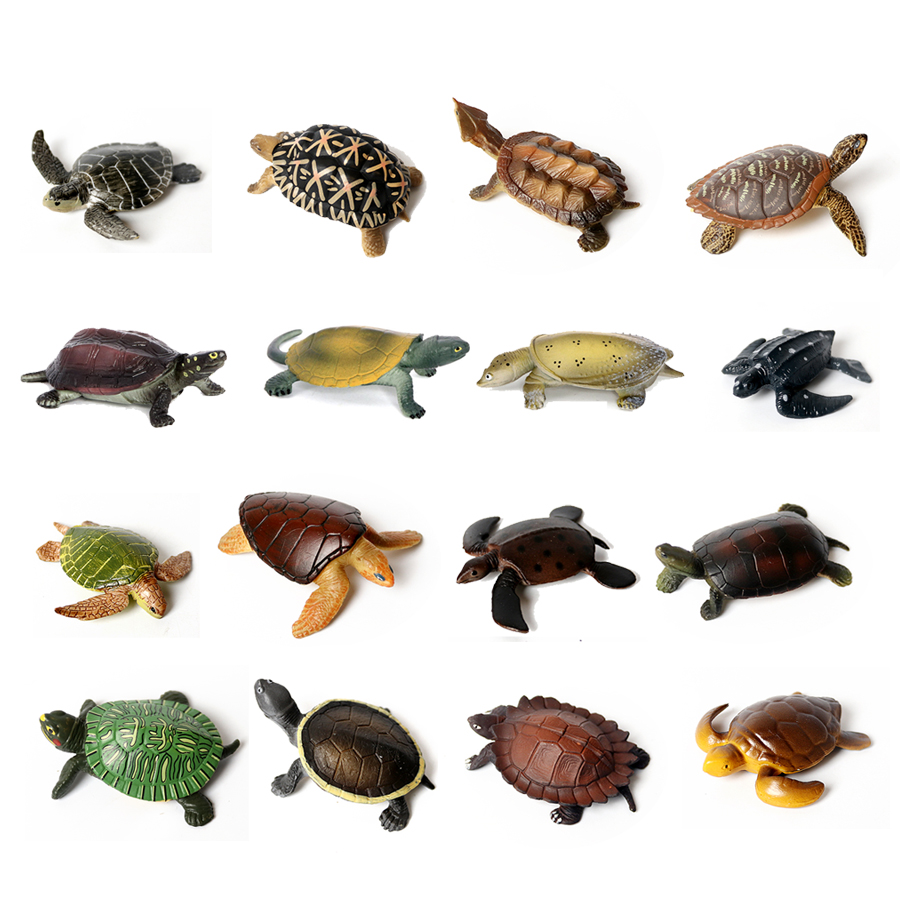 현실적인 미니어처 해양 생물 바다 거북이 모델, 해양  - Marine Aquarium 리뷰 및 가격