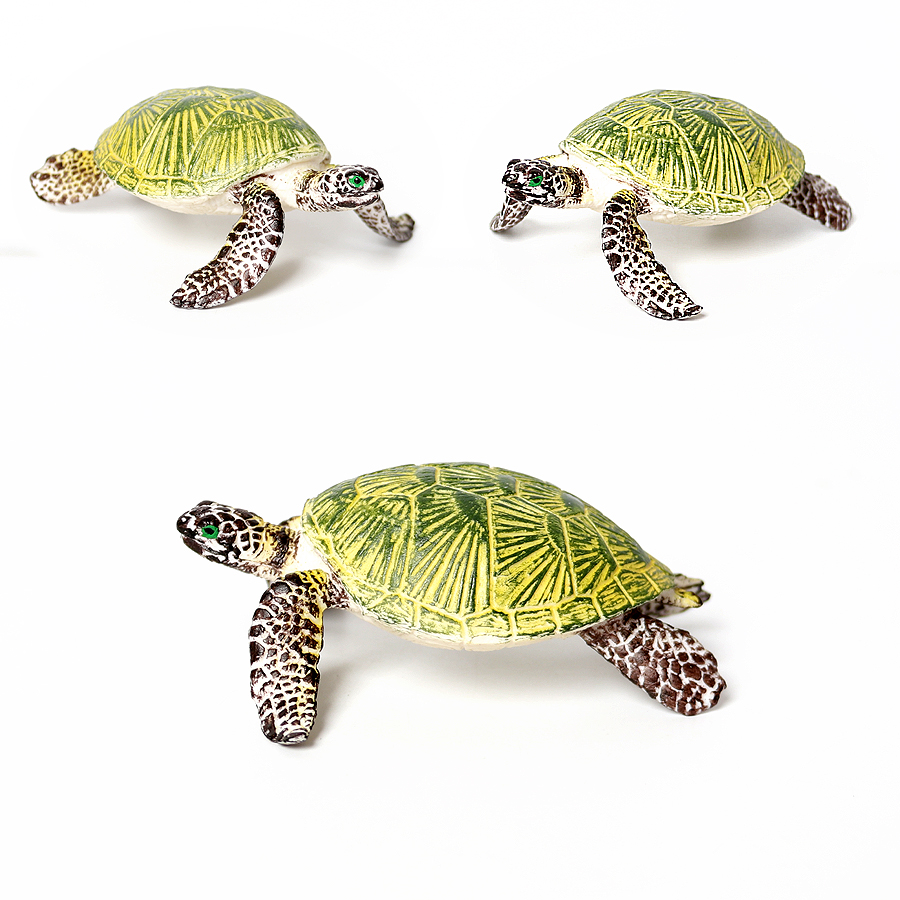 현실적인 미니어처 해양 생물 바다 거북이 모델, 해양  - Marine Aquarium 리뷰 및 가격